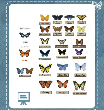 3D Book Nook, Butterfly House, DIY Kit, Nature Bookshelf Puzzle, LED Light, Varieties of Butterflies, Movable Furniture, Gift Nature Lovers